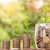 8 Steps to Getting Your Finances in Order